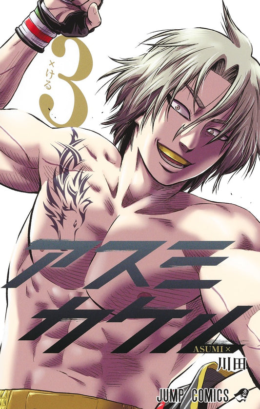 Asumi Kakeru (Martial Master Asumi) Japanese manga volume 3 front cover
