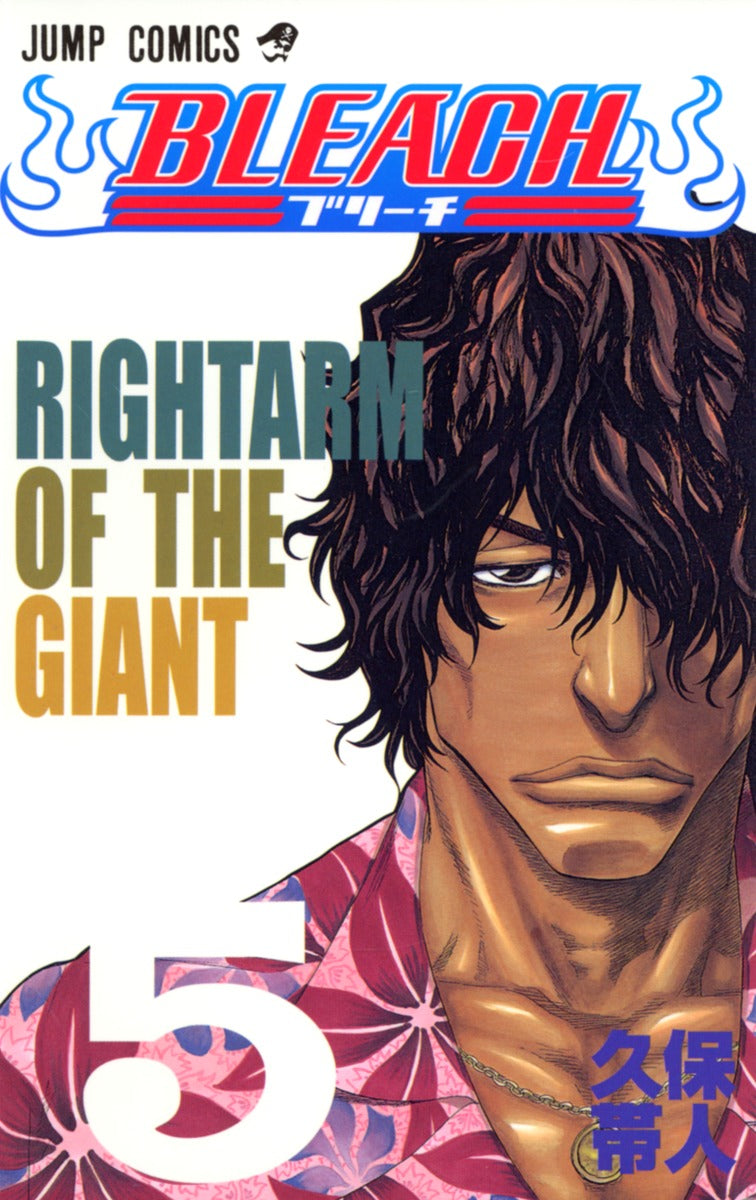 Bleach Japanese manga volume 5 front cover