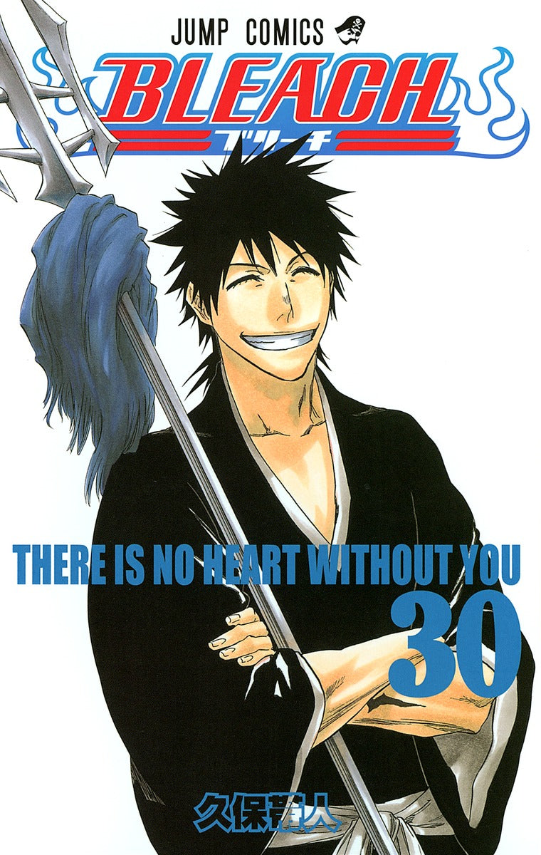 Bleach Japanese manga volume 30 front cover