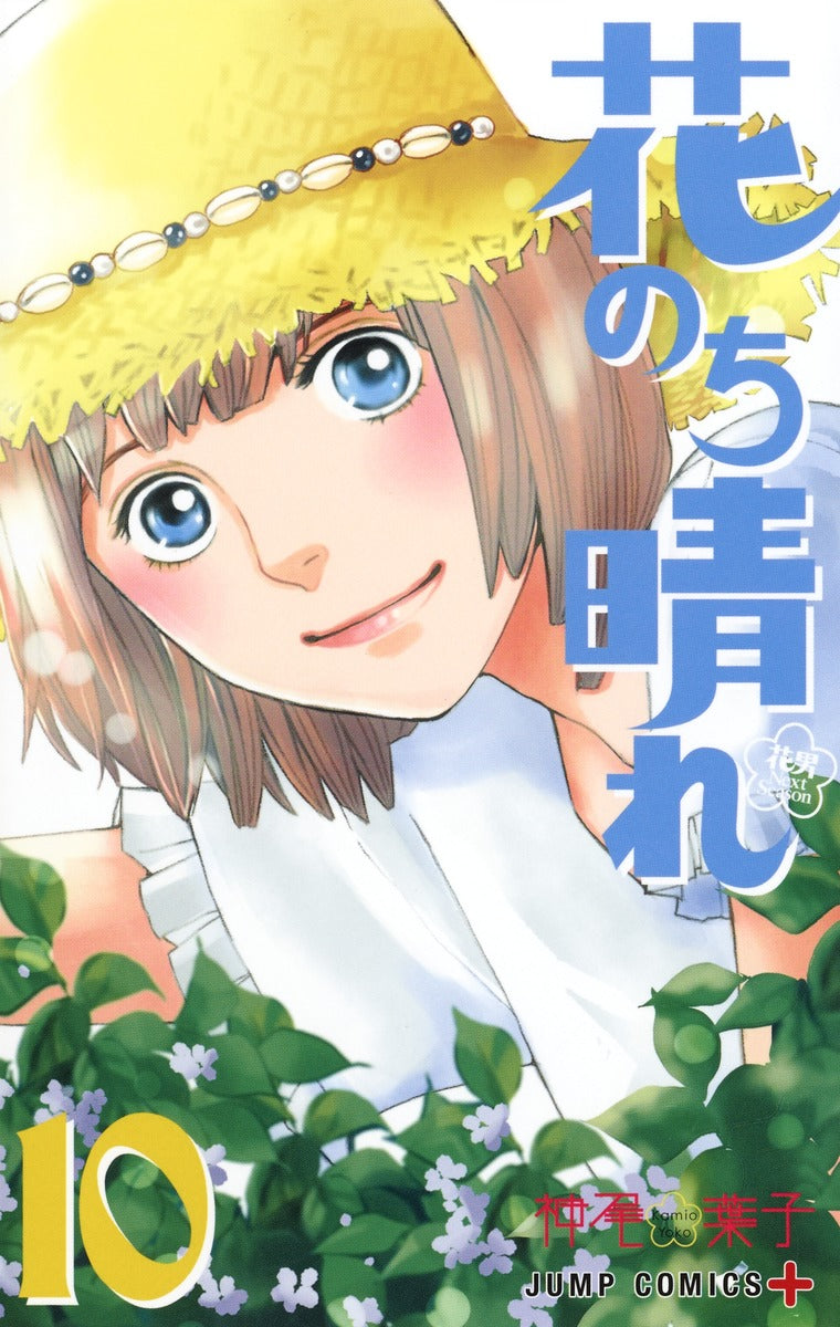 Hana Nochi Hare: HanaDan Next Season (Boys Over Flowers Season 2) Japanese manga volume 10 front cover