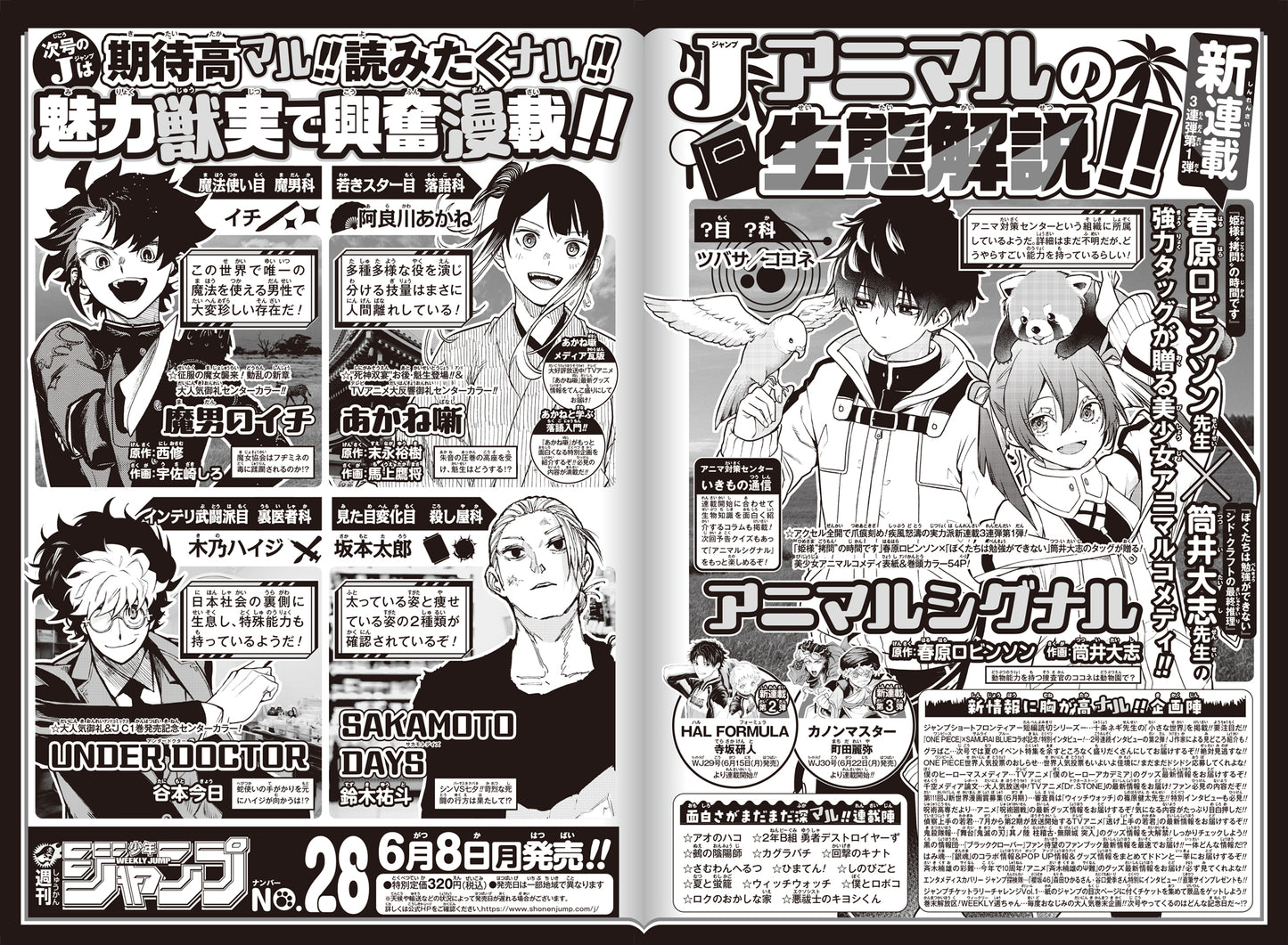 [PRE-ORDER] Weekly Shonen JUMP Magazine 2026 No. 28