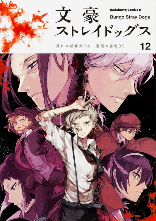 Bungo Stray Dogs Japanese manga volume 12 front cover