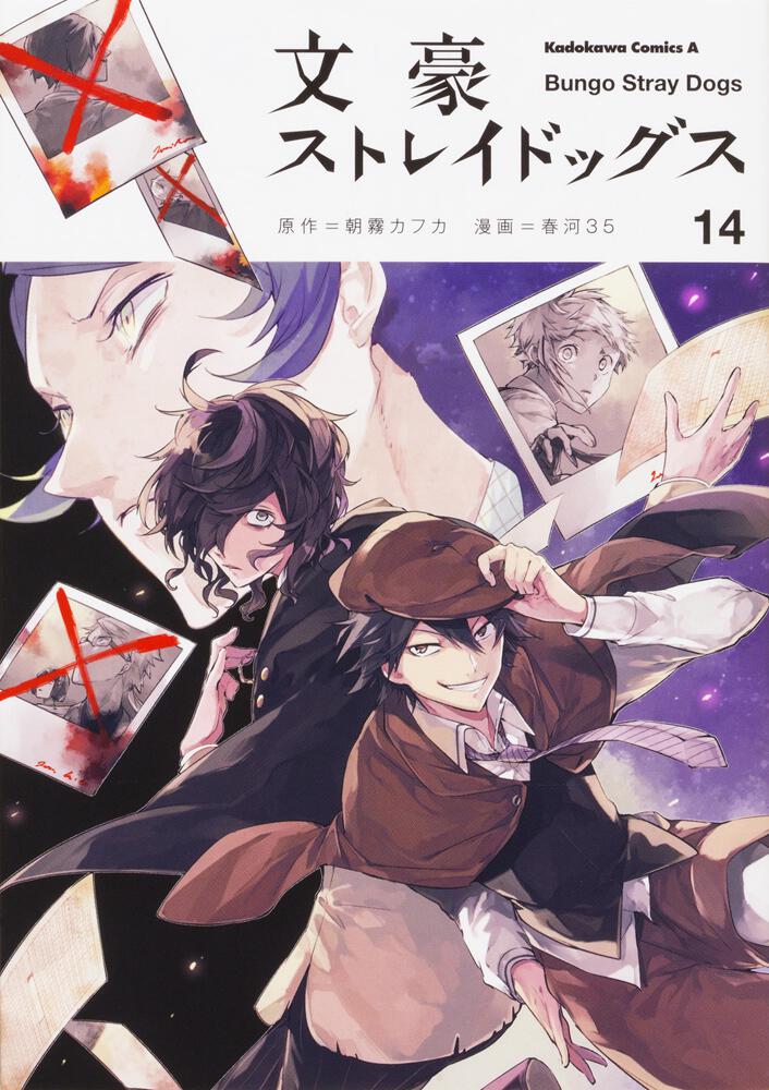 Bungo Stray Dogs Japanese manga volume 14 front cover