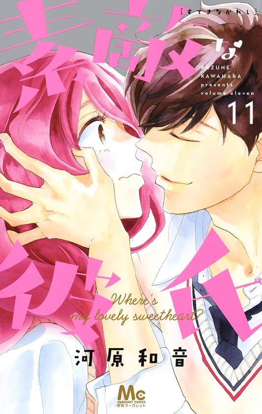 Suteki na Kareshi (Where's My Lovely Sweetheart?) Japanese manga volume 11 front cover