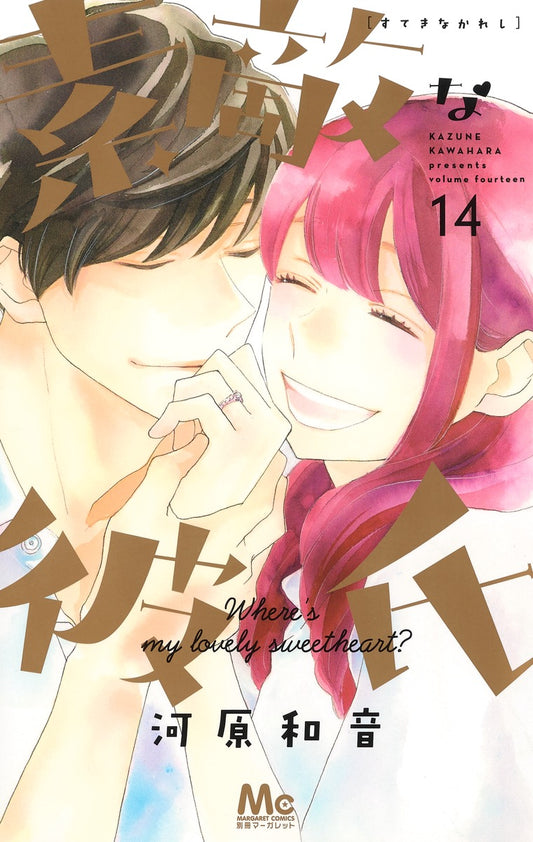 Suteki na Kareshi (Where's My Lovely Sweetheart?) Japanese manga volume 14 front cover