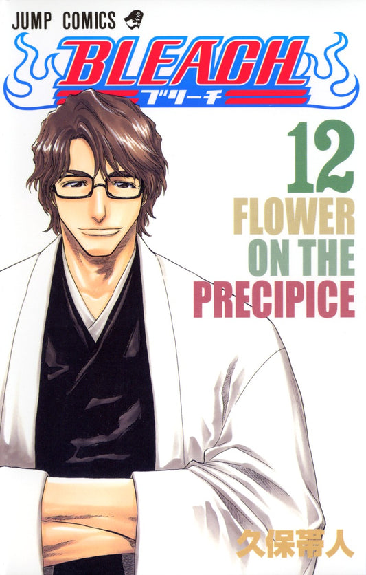 Bleach Japanese manga volume 12 front cover