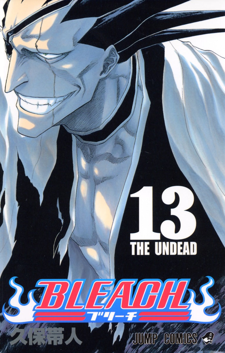 Bleach Japanese manga volume 13 front cover