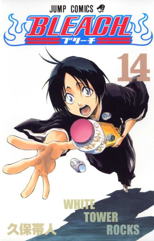 Bleach Japanese manga volume 14 front cover