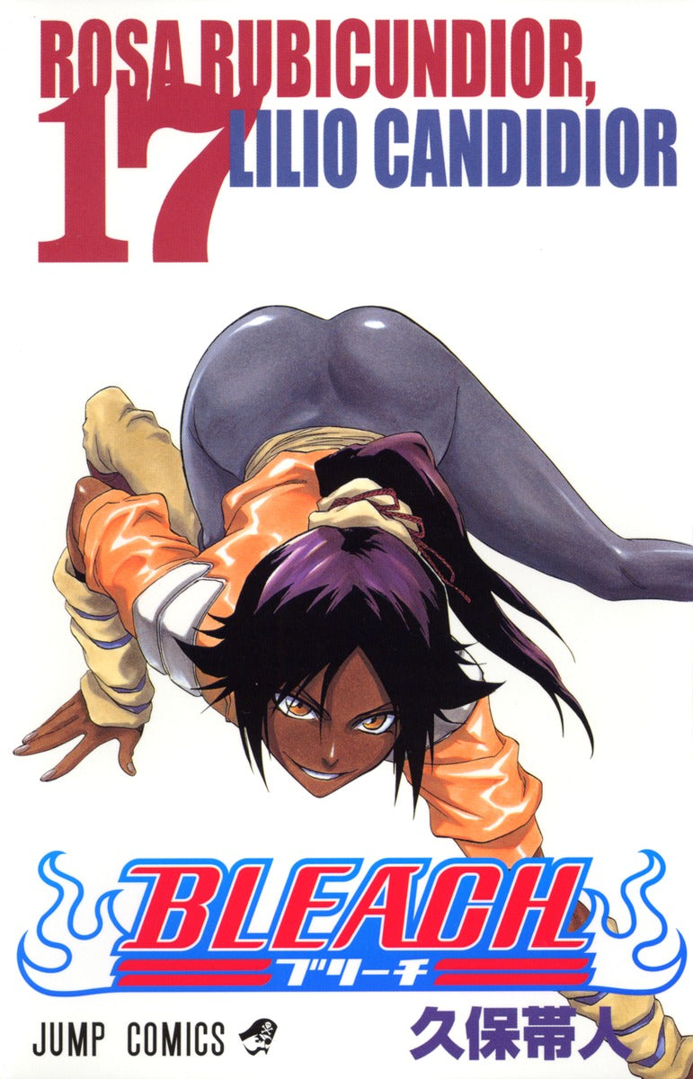 Bleach Japanese manga volume 17 front cover