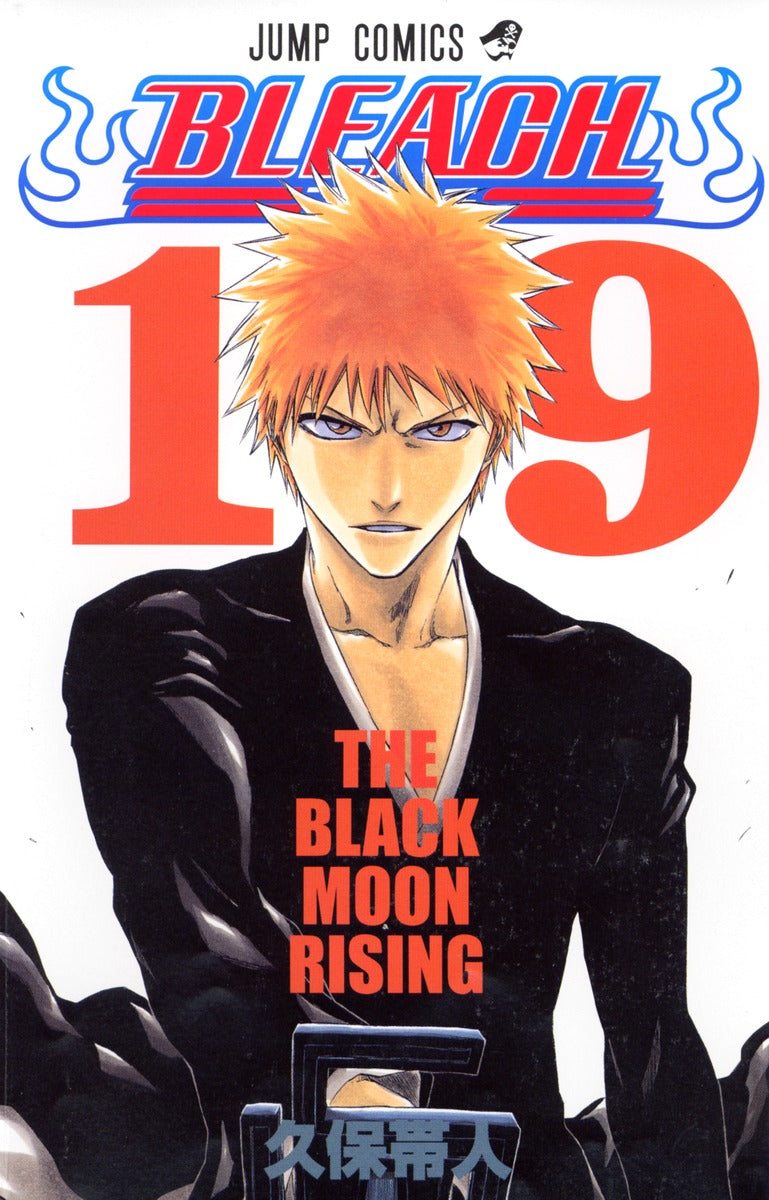 Bleach Japanese manga volume 19 front cover