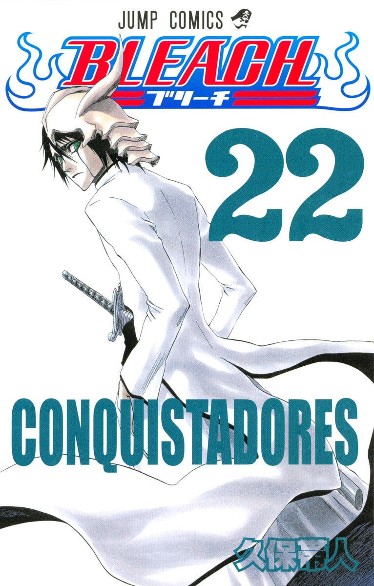 Bleach Japanese manga volume 22 front cover