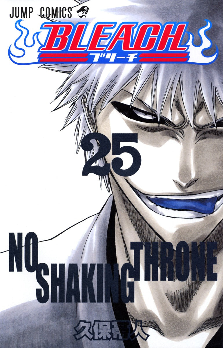 Bleach Japanese manga volume 25 front cover