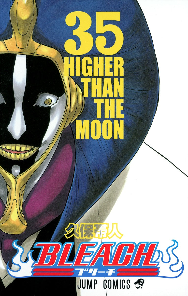 Bleach Japanese manga volume 35 front cover