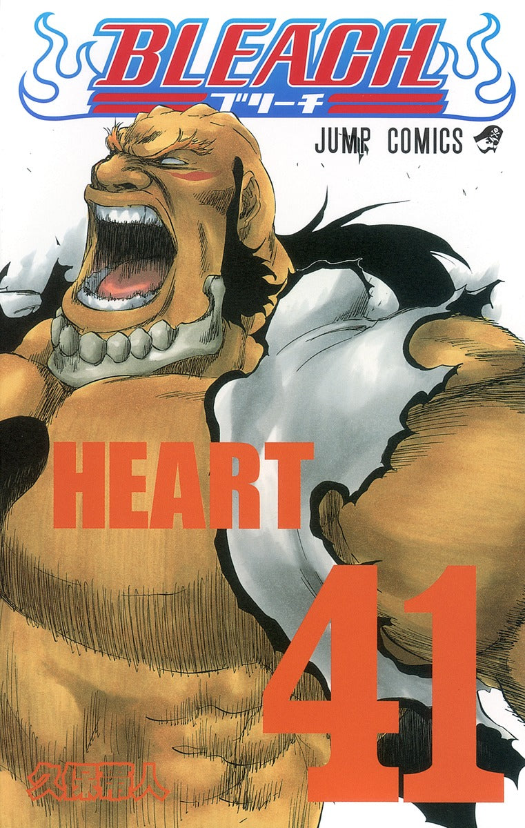 Bleach Japanese manga volume 41 front cover