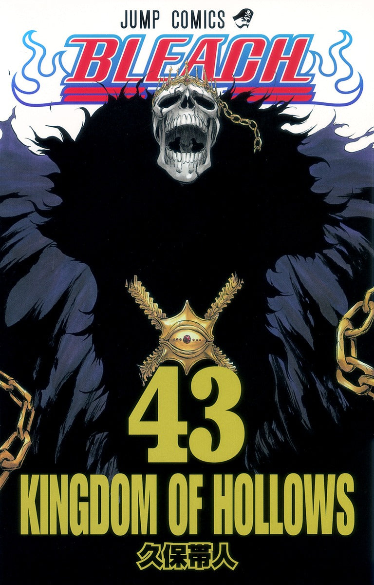 Bleach Japanese manga volume 43 front cover