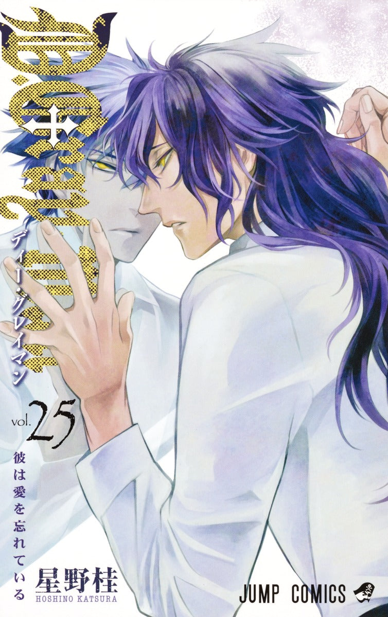 D.Gray-man Japanese manga volume 25 front cover
