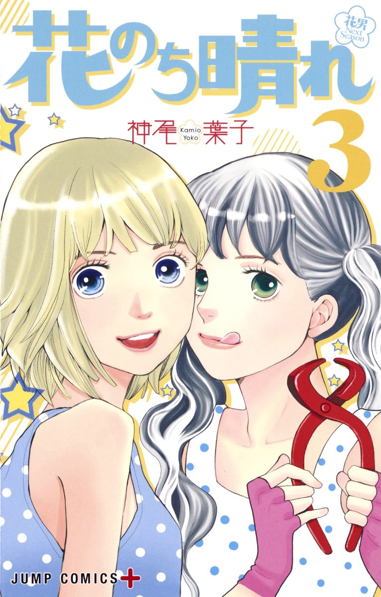Hana Nochi Hare: HanaDan Next Season (Boys Over Flowers Season 2) Japanese manga volume 3 front cover