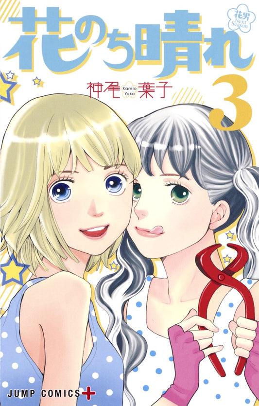 Hana Nochi Hare: HanaDan Next Season (Boys Over Flowers Season 2) Japanese manga volume 3 front cover