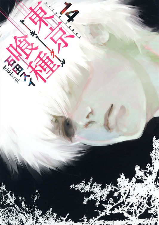 Tokyo Ghoul Japanese manga volume 14 front cover